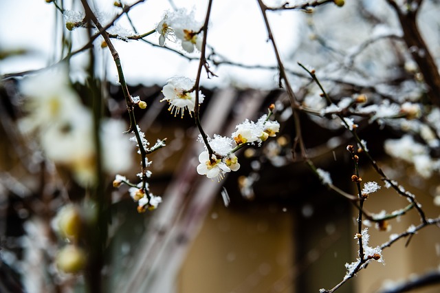 光芒
