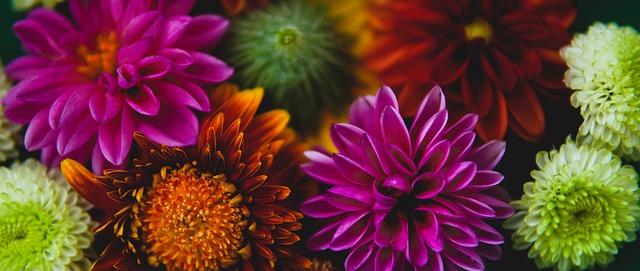 杜锋对节奏